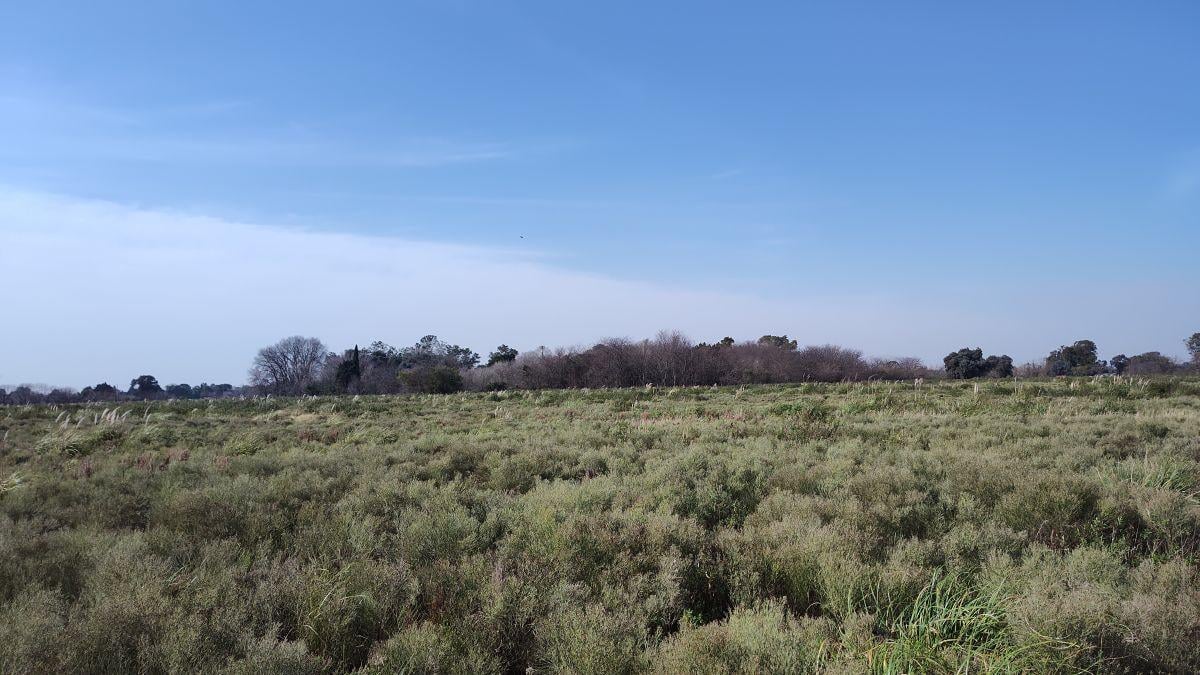Foto de VENDO campo 3.1 hectáreas ideal emprendimiento, imagen 4