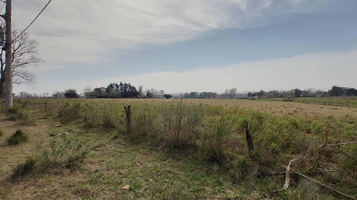 Foto de VENDO campo 3.1 hectáreas ideal emprendimiento, imagen 1