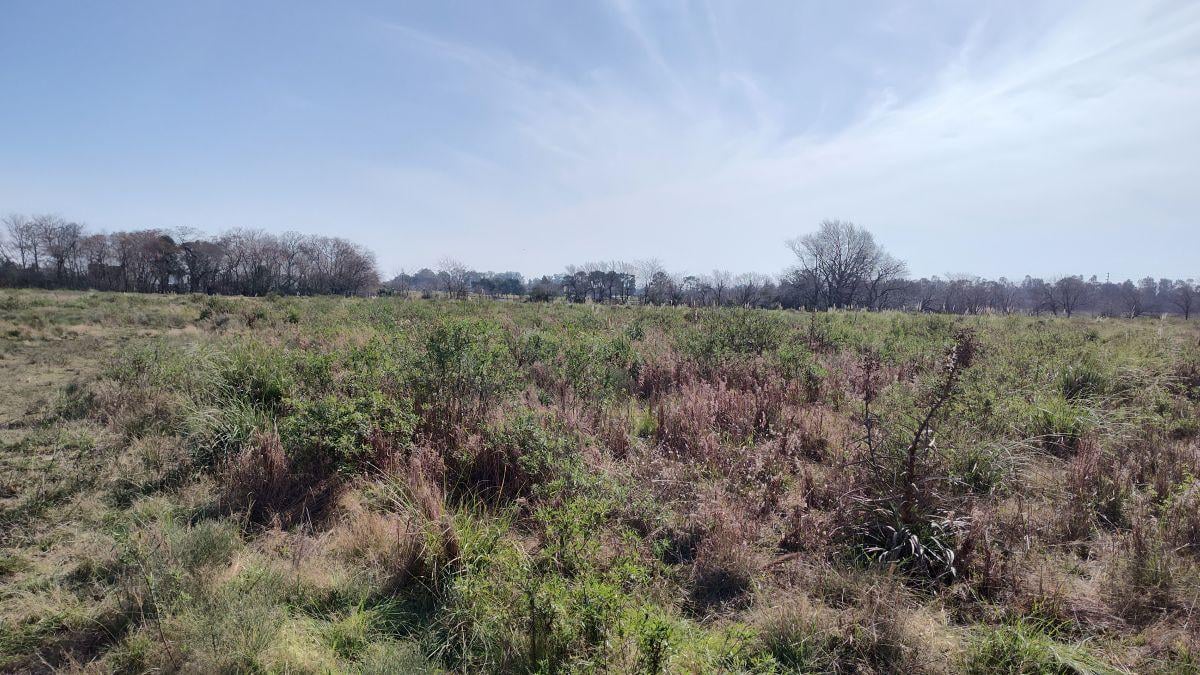 Foto de VENDO campo 3.1 hectáreas ideal emprendimiento, imagen 2