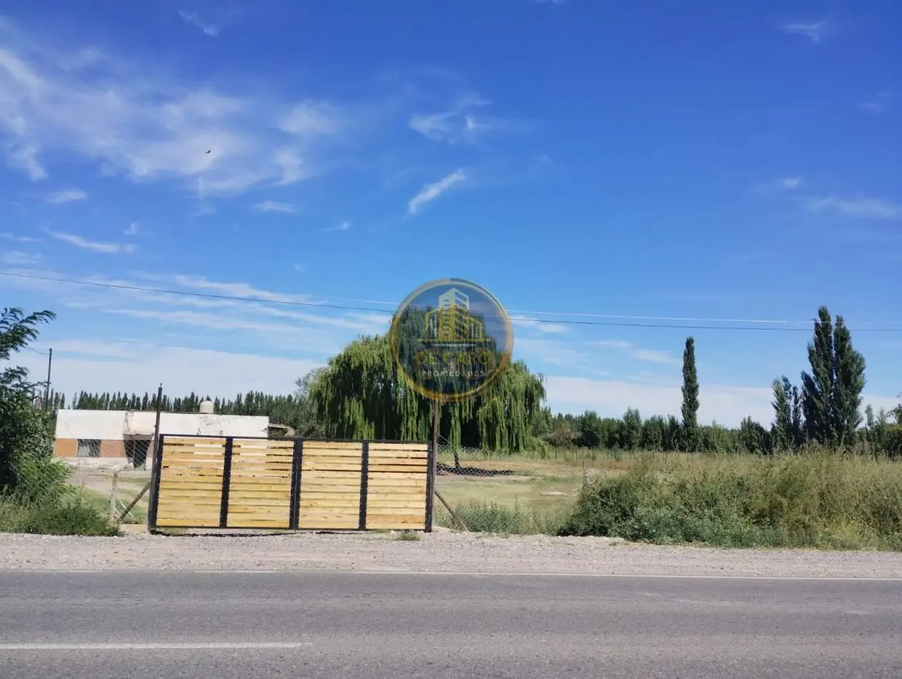 Venta de 2 Chacras en conjunto frente a Ruta 151 Cinco Saltos 2