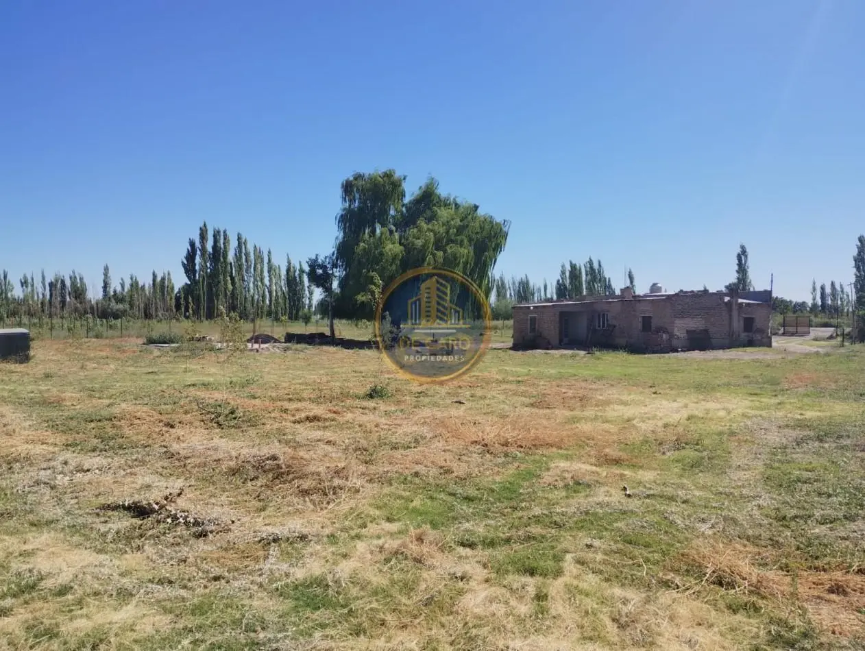 Venta de 2 Chacras en conjunto frente a Ruta 151 Cinco Saltos 4