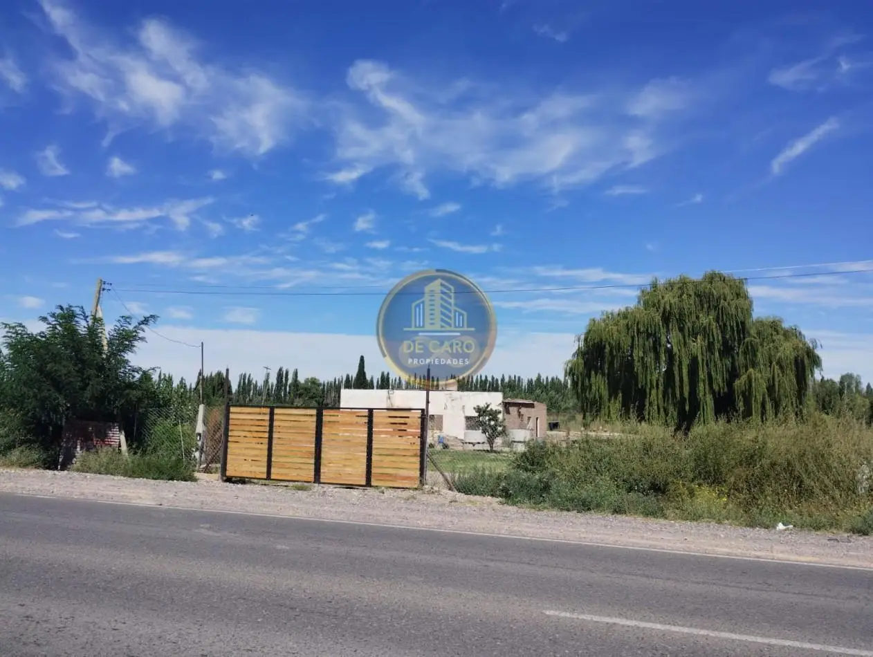 Venta de 2 Chacras en conjunto frente a Ruta 151 Cinco Saltos 5