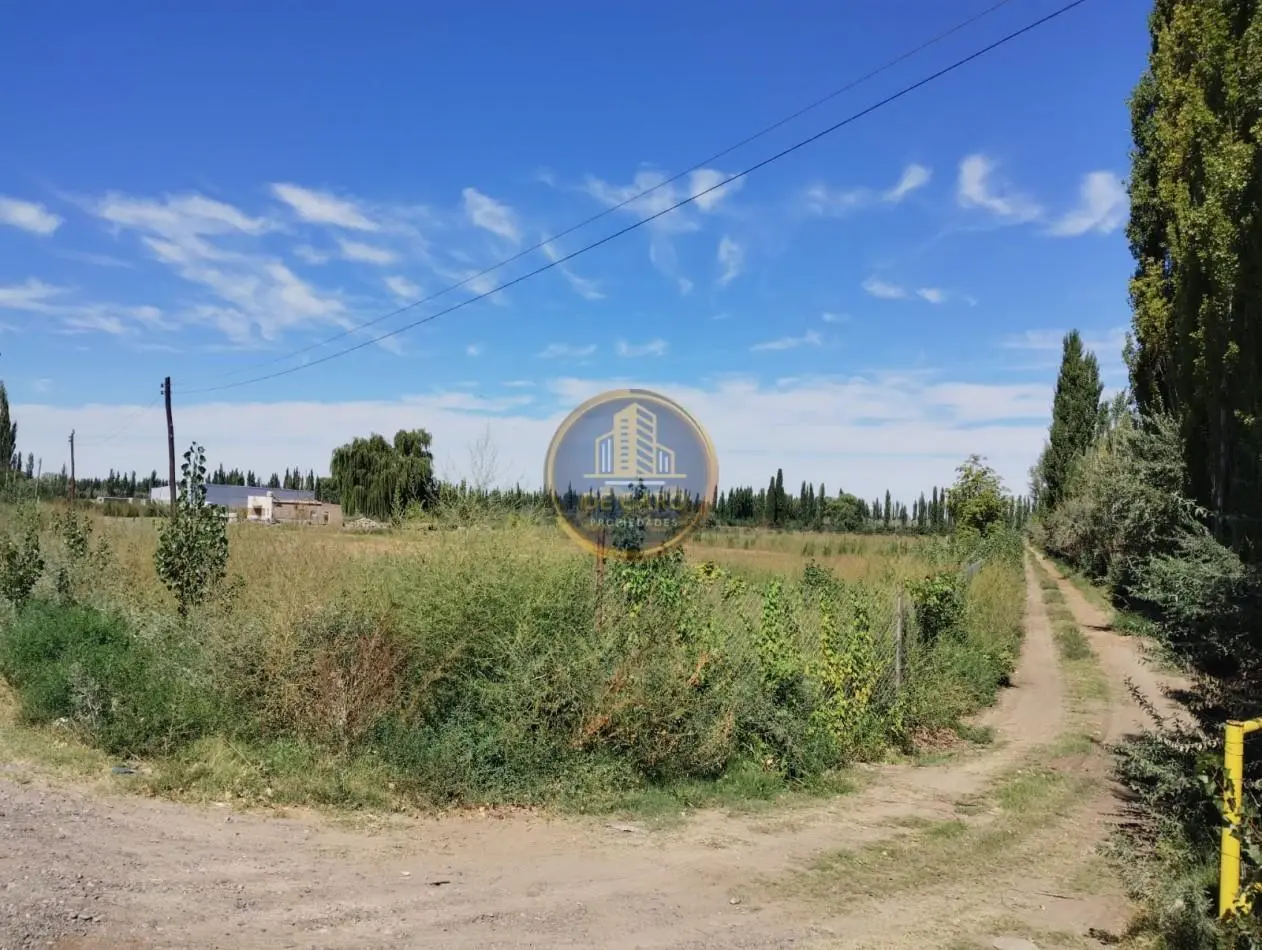 Venta de 2 Chacras en conjunto frente a Ruta 151 Cinco Saltos 3