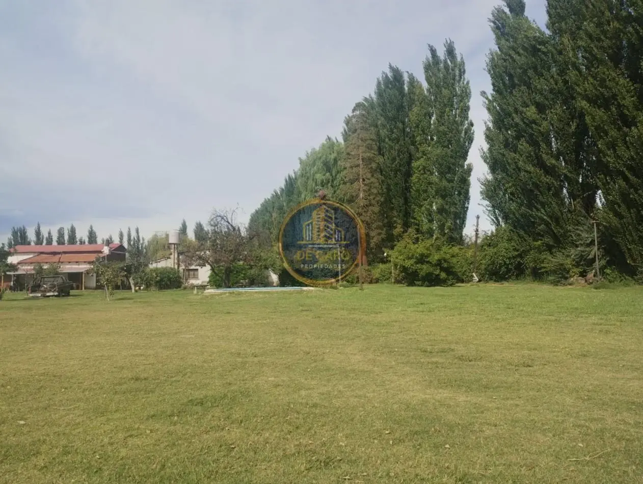 Venta Chacra camino a Vaca Muerta 4