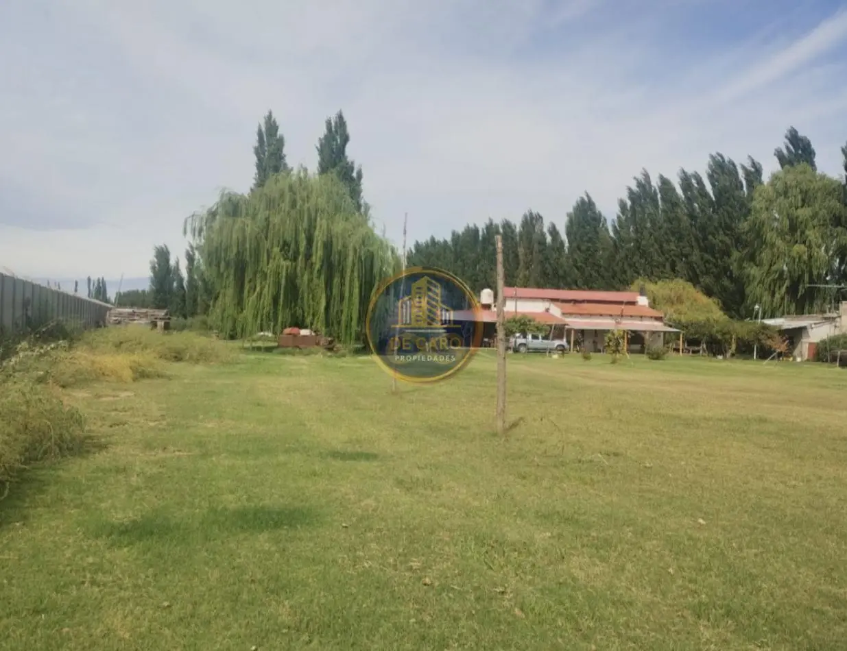 Venta Chacra camino a Vaca Muerta 3
