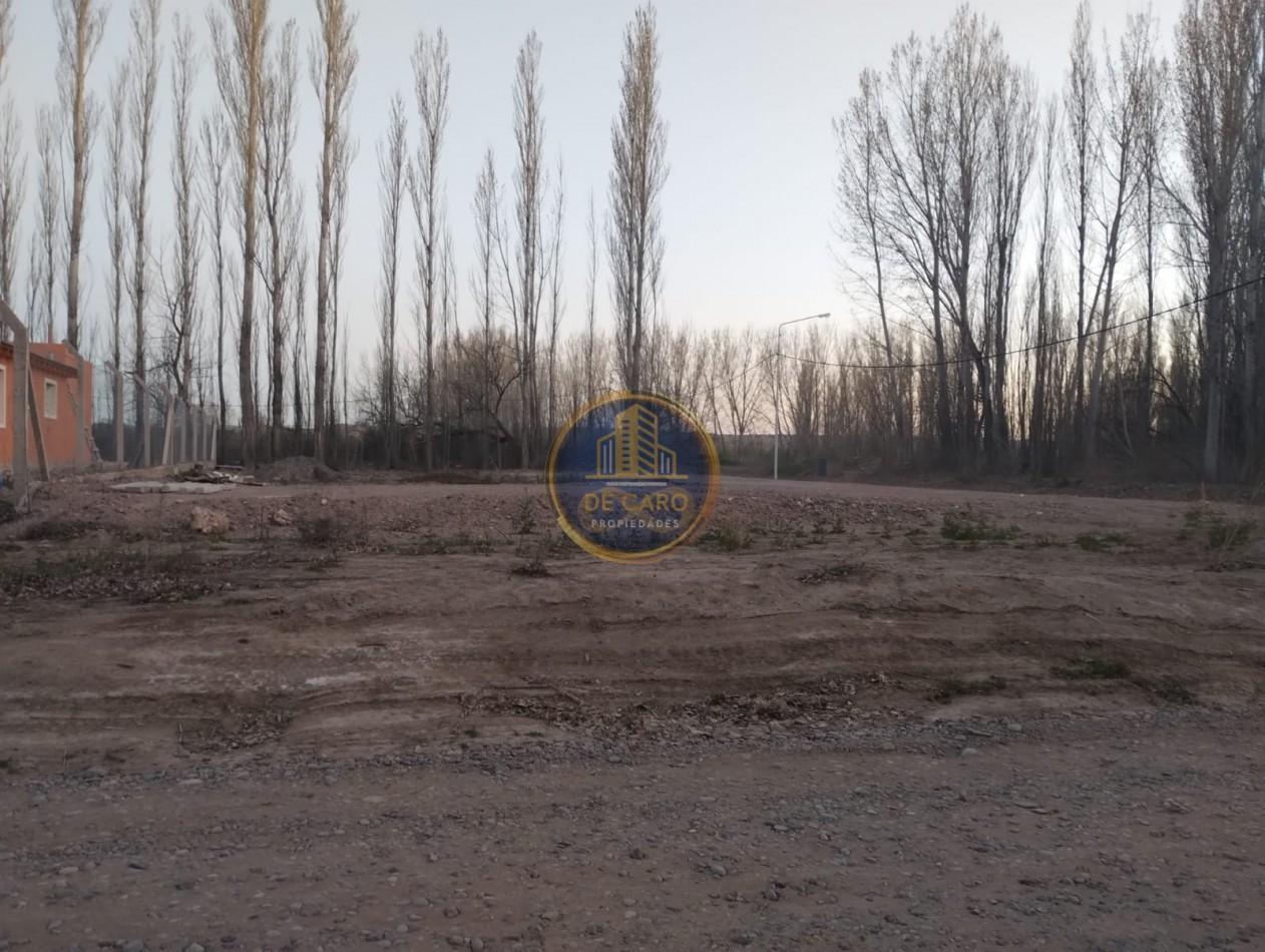 Foto de Venta de Terreno en Añelo, imagen 3