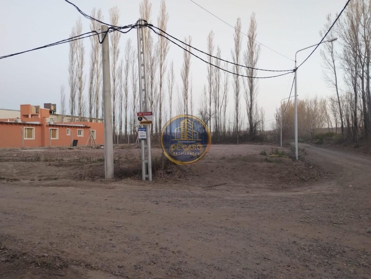 Foto de Venta de Terreno en Añelo, imagen 4