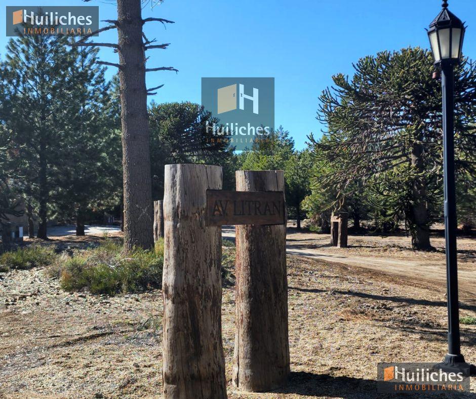Foto de Terreno en Villa Pehuenia, imagen 2