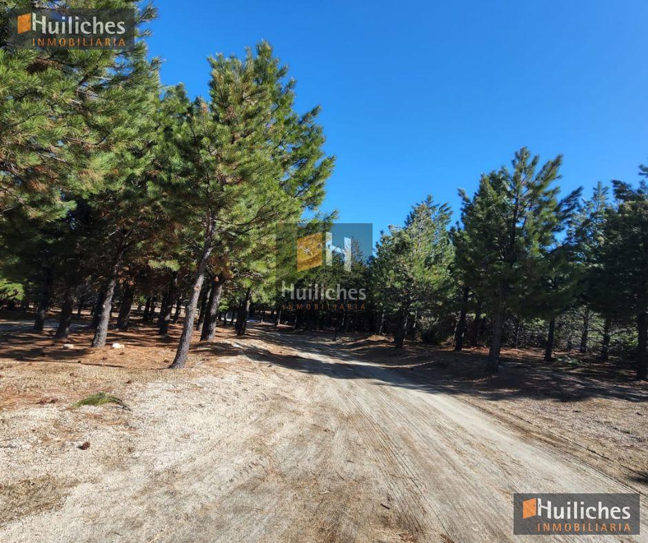 Foto de Terreno en Villa Pehuenia, imagen 5