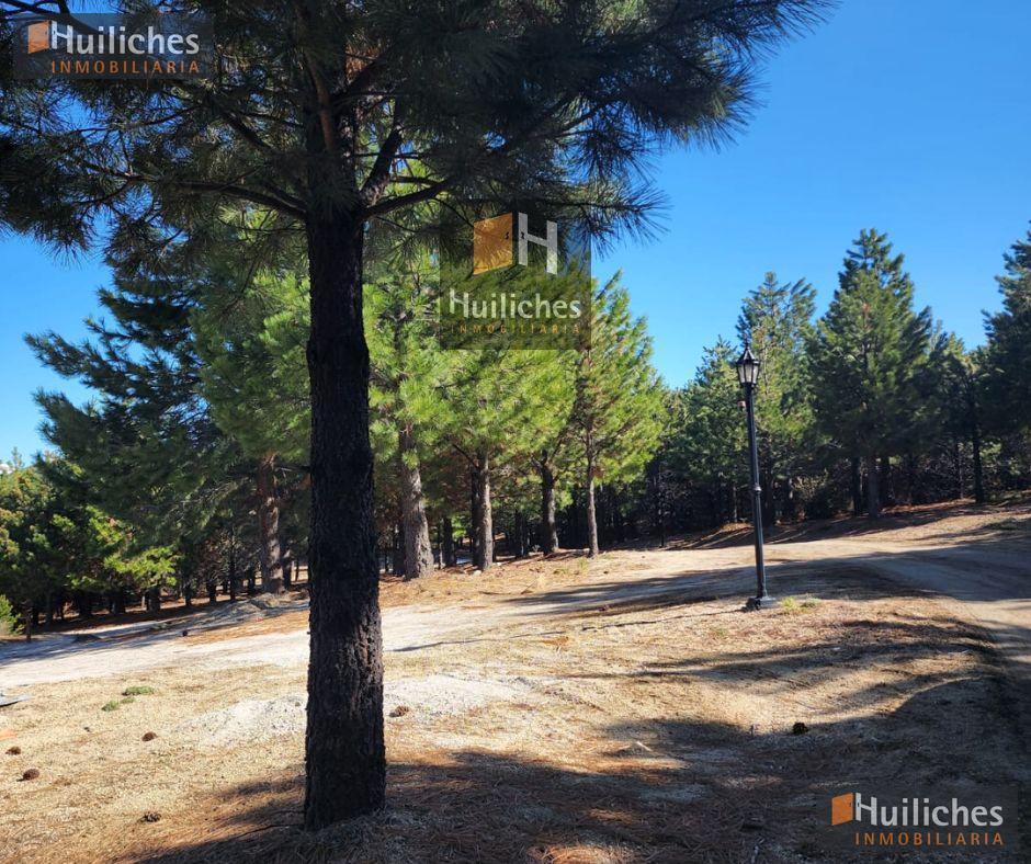 Foto de Terreno en Villa Pehuenia, imagen 1
