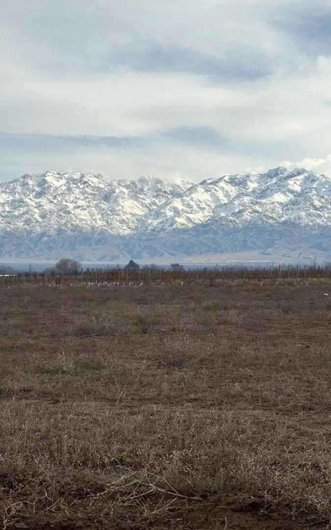 Terreno en venta de 2000 m2 en Tunuyán 2