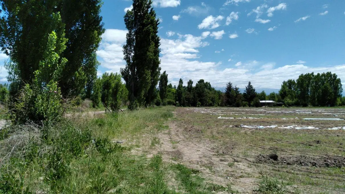 Terreno de 2938 m² en venta, Tunuyán 4