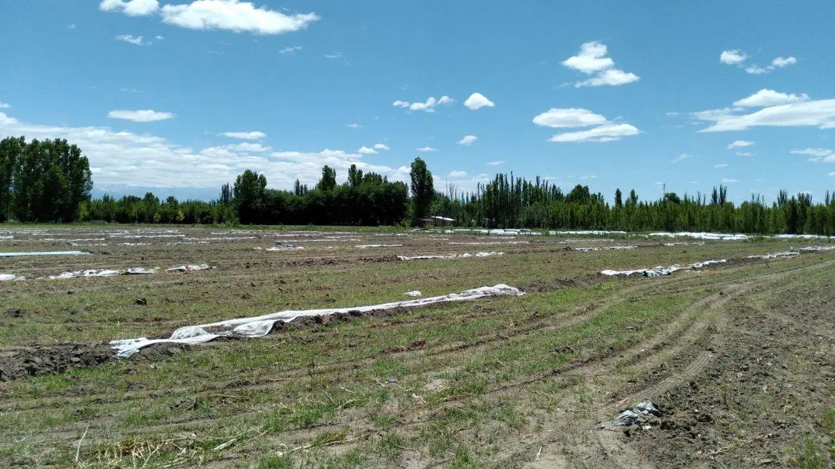Terreno de 2938 m² en venta, Tunuyán 2