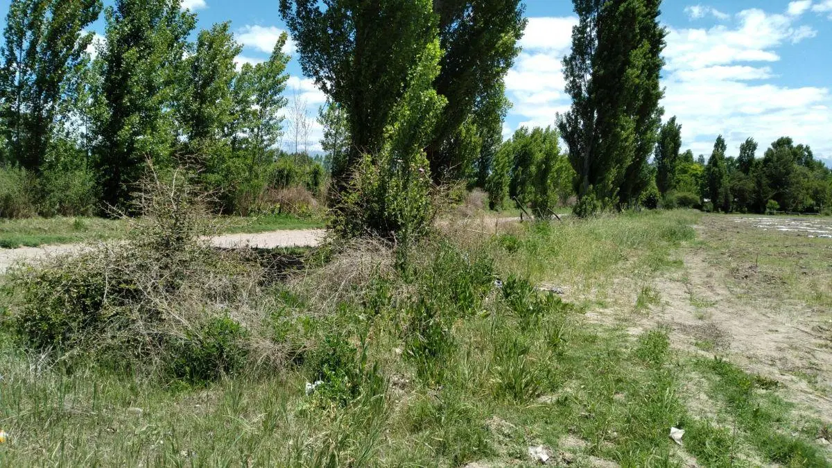 Terreno de 2938 m² en venta, Tunuyán 5