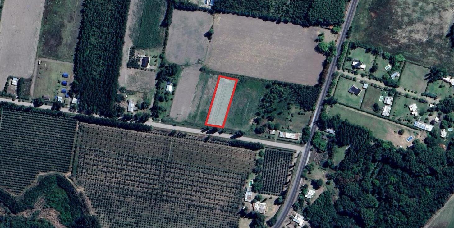Foto de Terreno de 2938 m² en venta, Tunuyán, imagen 3