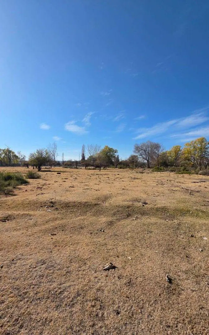 Terreno de 38038 m2 en venta en Tunuyán 3