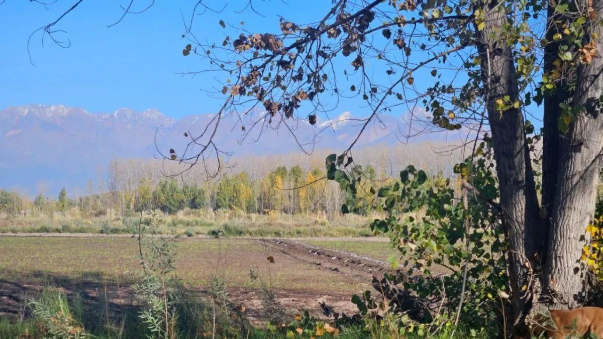Finca de 94,82 ha en venta en Tunuyán 4