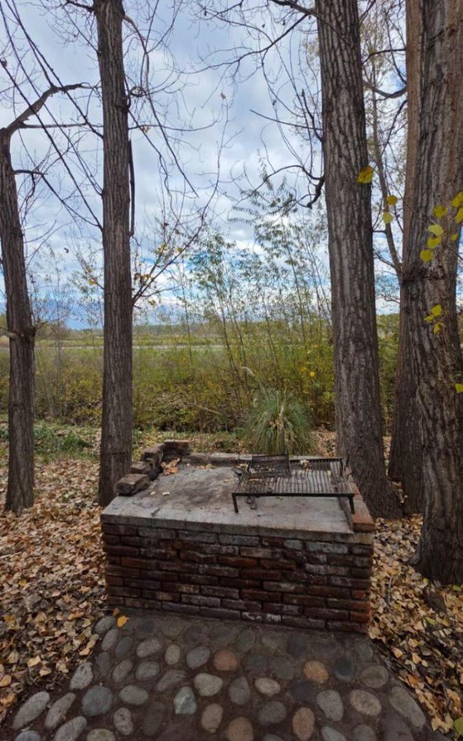 Foto de Finca de 94,82 ha en venta en Tunuyán, imagen 1
