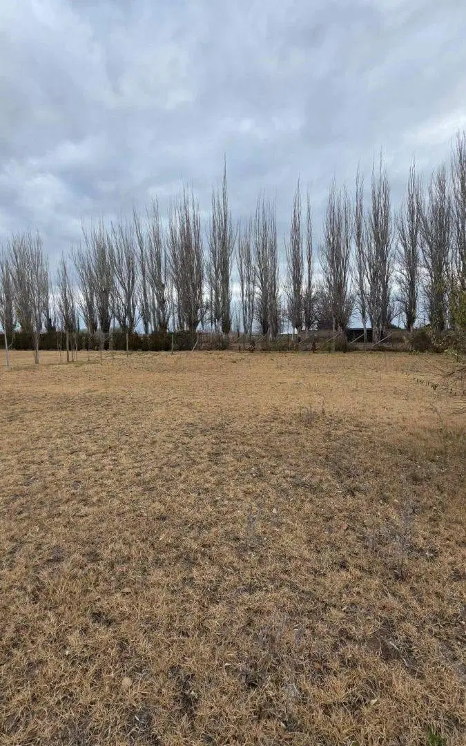 Casa de 2439 m² con 1 dormitorio en venta en San Carlos 8