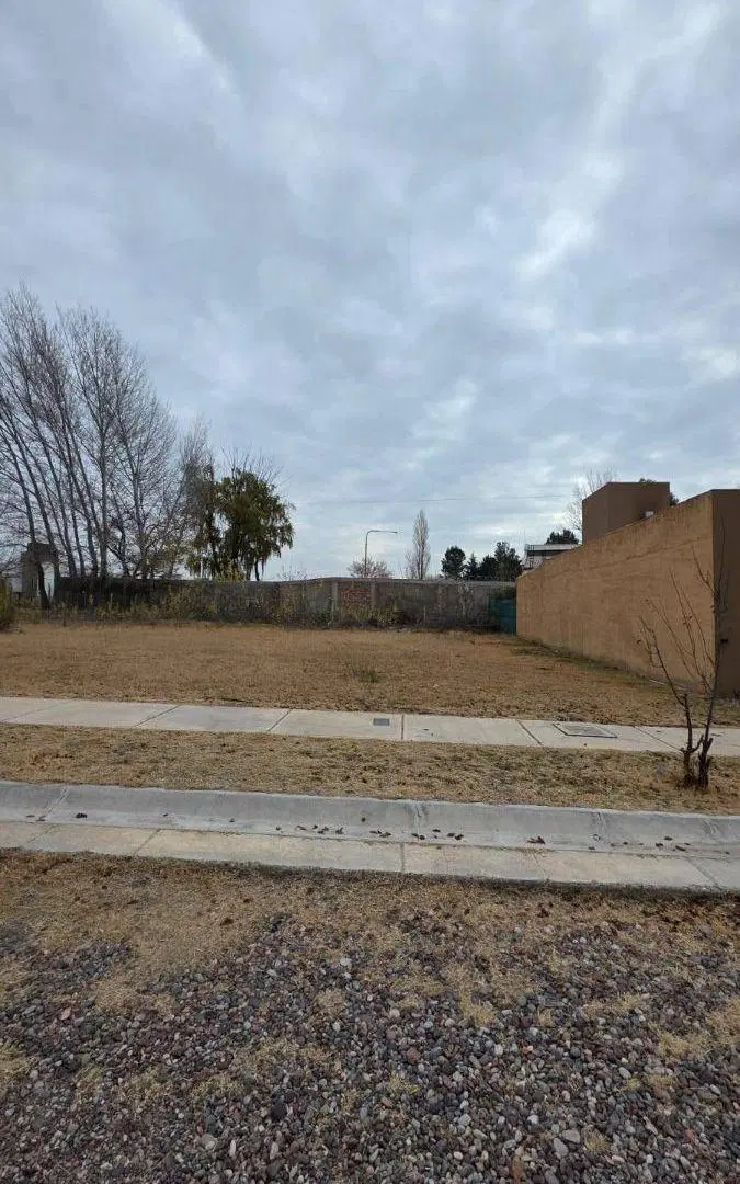 Terreno de 361 m2 en venta en Tunuyán 4