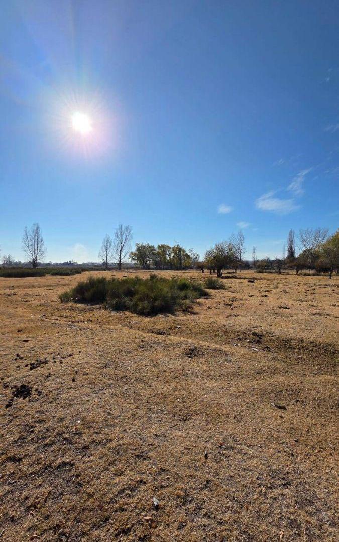 Foto de Finca en venta de 38038.86m2 ubicado en Tunuyán, imagen 3