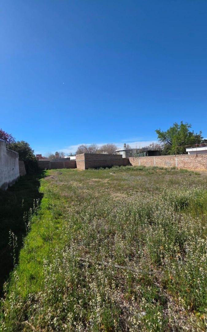 Foto de Terreno / Lote en venta de 803.5m2 ubicado en Tunuyán, imagen 1