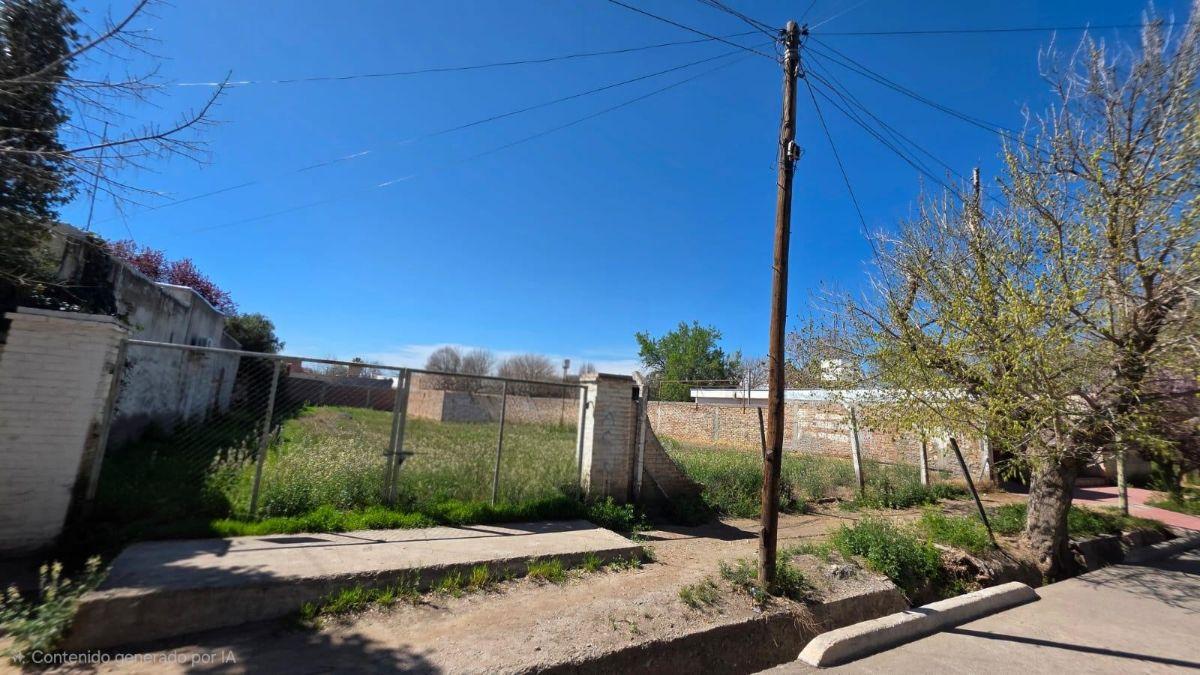 Foto de Terreno / Lote en venta de 803.5m2 ubicado en Tunuyán, imagen 2