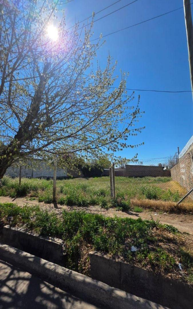 Foto de Terreno / Lote en venta de 803.5m2 ubicado en Tunuyán, imagen 4