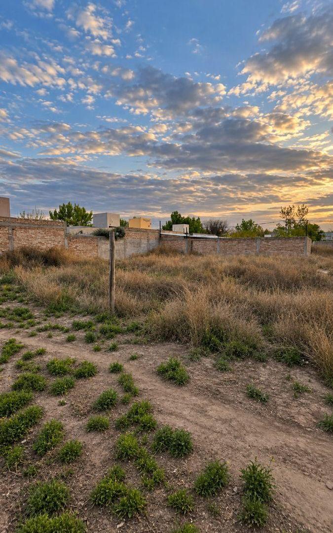 Foto de Terreno / Lote en venta de 292.38m2 ubicado en Tunuyán, imagen 4