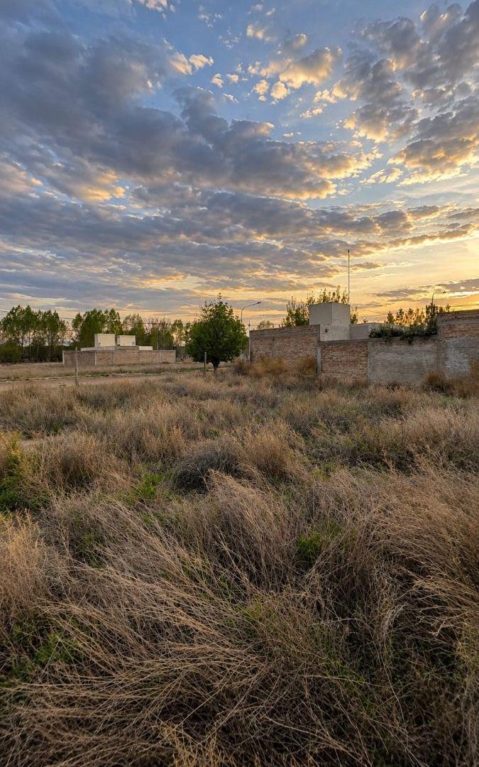 Foto de Terreno / Lote en venta de 292.38m2 ubicado en Tunuyán, imagen 3
