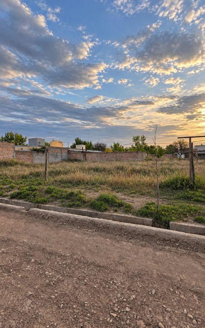 Foto de Terreno / Lote en venta de 292.38m2 ubicado en Tunuyán, imagen 5
