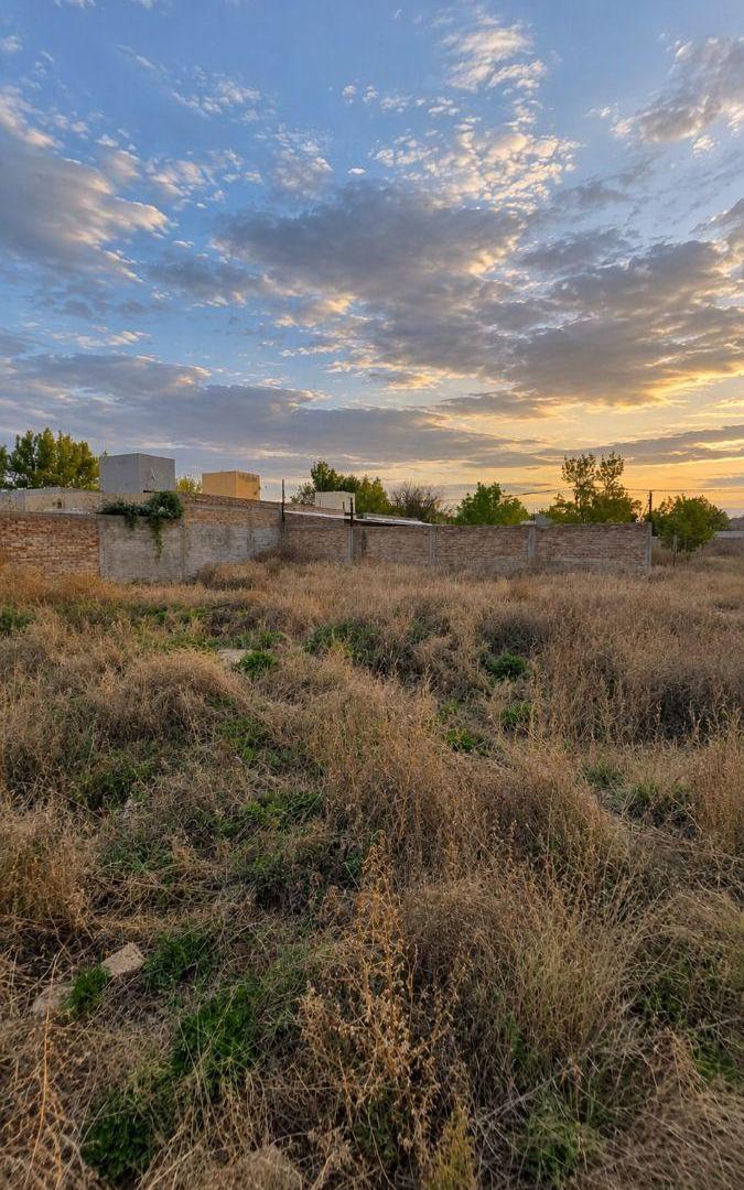 Foto de Terreno / Lote en venta de 292.38m2 ubicado en Tunuyán, imagen 2