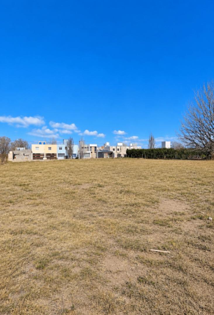 Foto de Terreno en B° Fenca / Lote en venta de 230m2 ubicado en Tunuyán, imagen 2