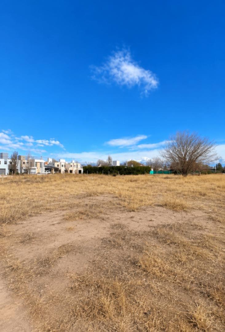 Foto de Terreno en B° Fenca / Lote en venta de 230m2 ubicado en Tunuyán, imagen 1