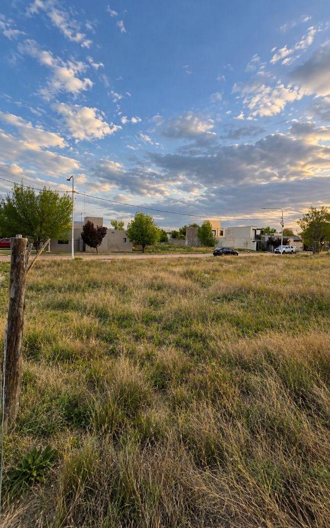 Foto de Terreno / Lote en venta de 270.81m2 ubicado en Tunuyán, imagen 3