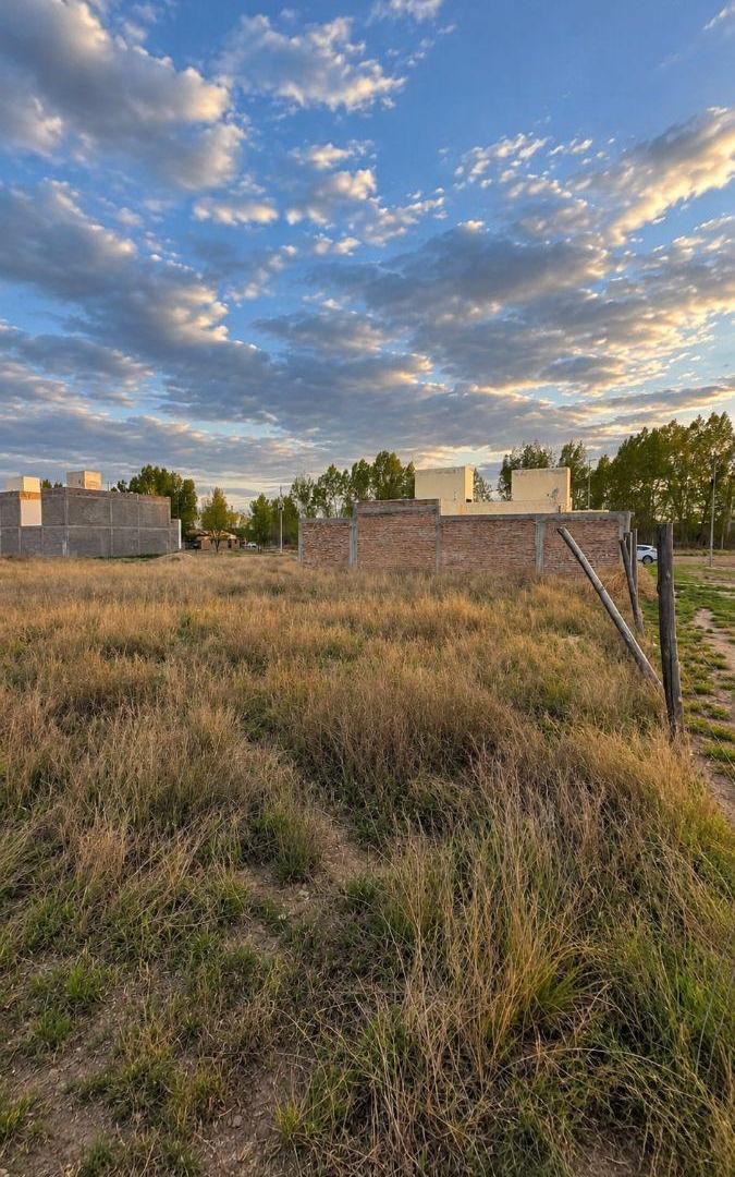 Foto de Terreno / Lote en venta de 270.81m2 ubicado en Tunuyán, imagen 5
