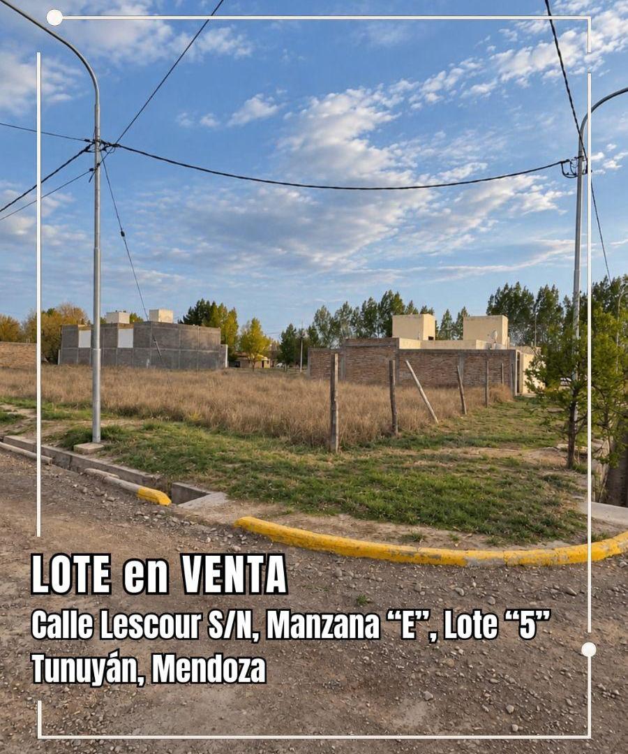Foto de Terreno / Lote en venta de 270.81m2 ubicado en Tunuyán, imagen 1