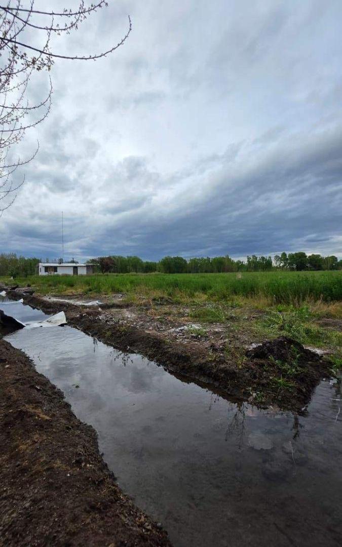 Foto de La Argentina S/N - Finca "DEL CARMEN", imagen 3