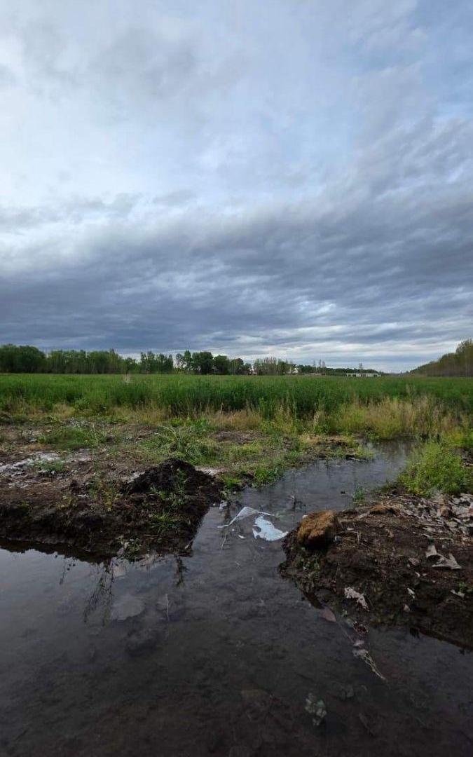 Foto de La Argentina S/N - Finca "DEL CARMEN", imagen 5