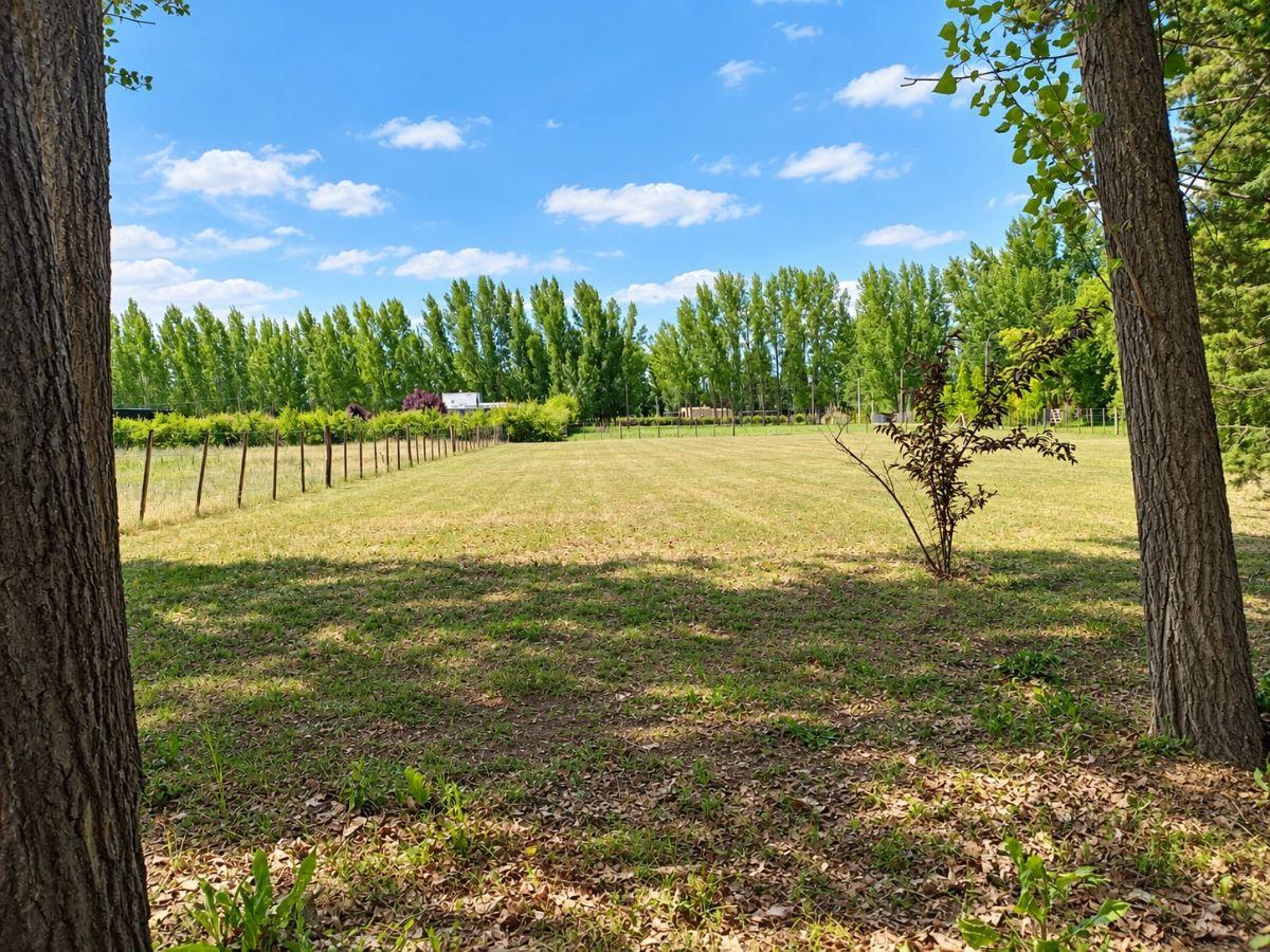 Foto de Terreno / Lote en venta de 2016.95m2 ubicado en Colonia Las Rosas, imagen 3