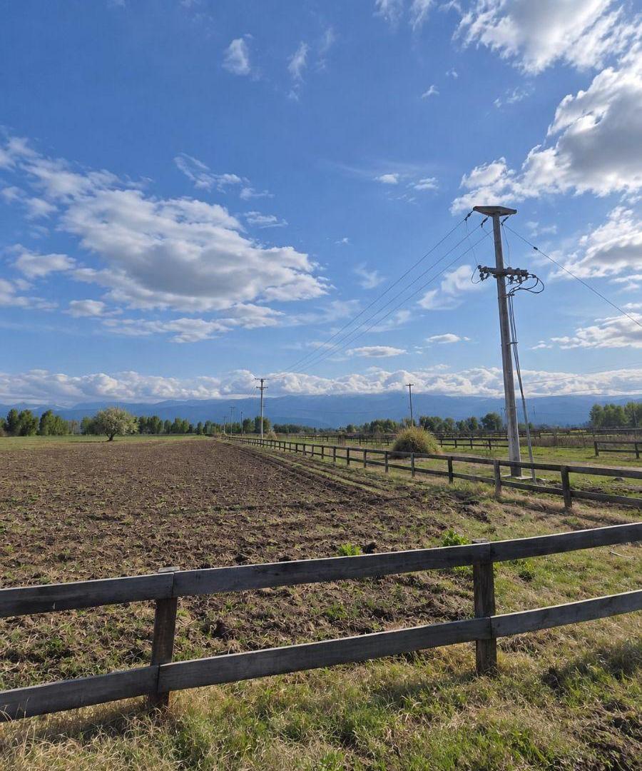 Foto de Terreno / Lote en venta de 10000m2 ubicado en Tunuyán, imagen 5