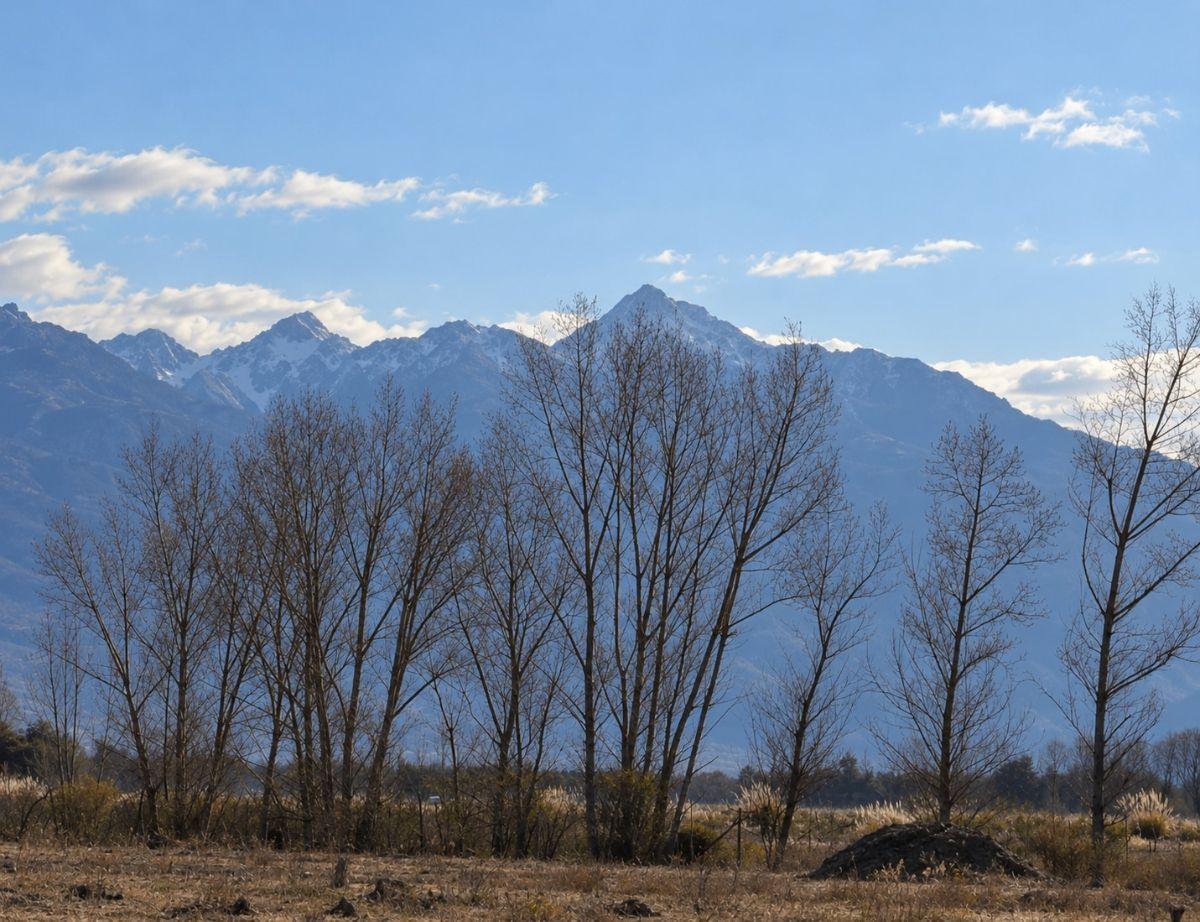 Foto de Terreno / Lote en venta de 10000m2 ubicado en Tunuyán, imagen 4