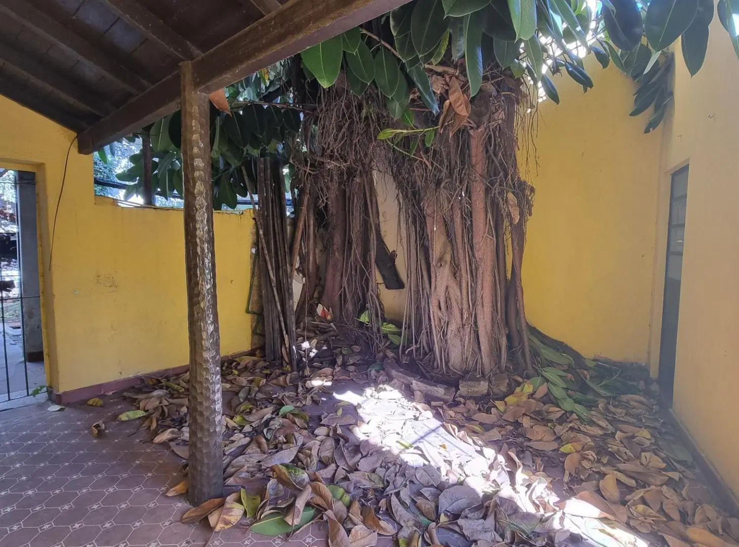 Casa 3amb c/cochera y patio en San Isidro 4