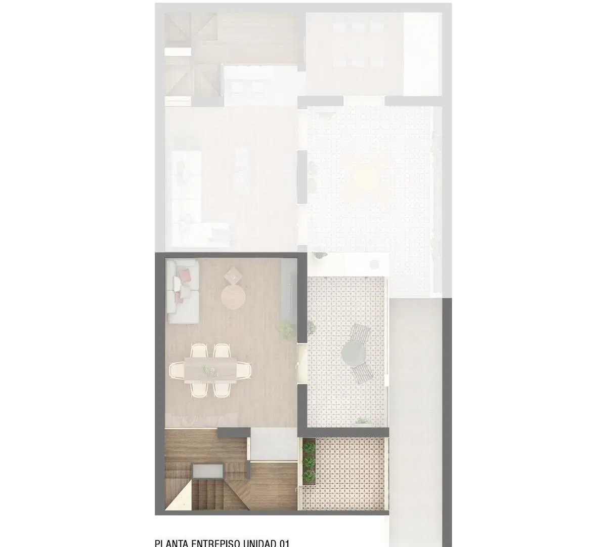 Plano 5