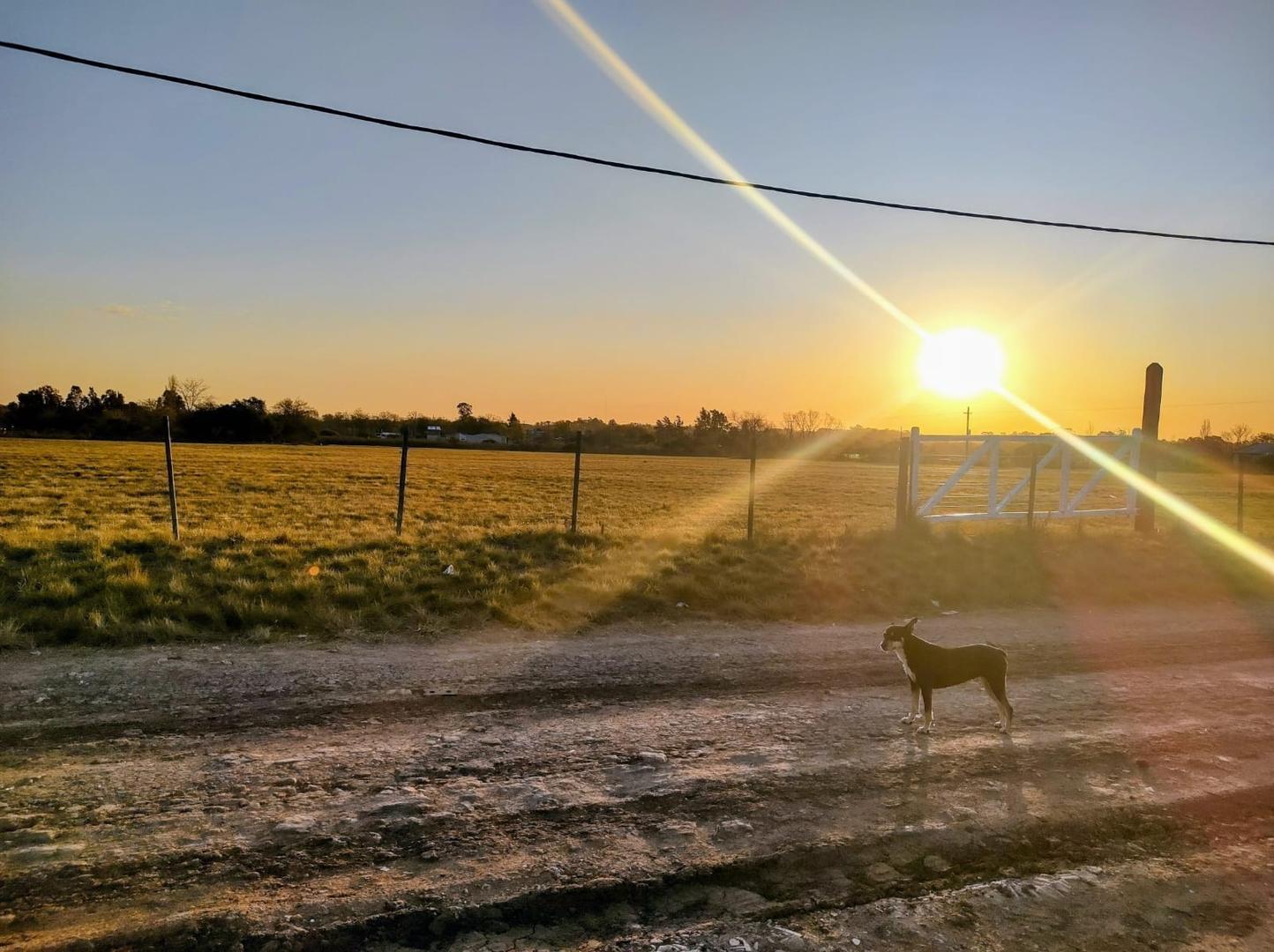 Foto de Lotes en venta en Florencio Varela, imagen 4