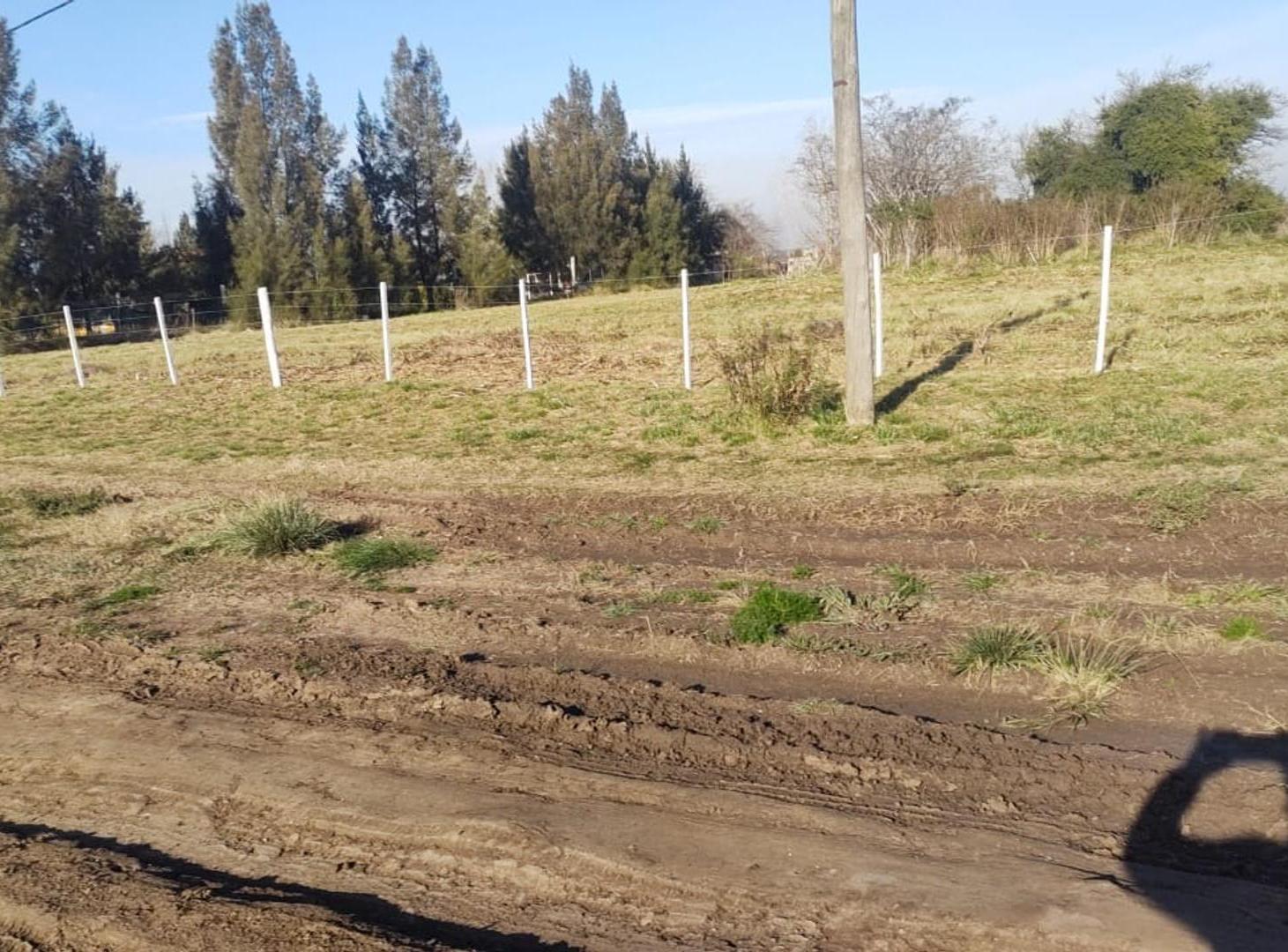 Foto de Lotes en venta en Florencio Varela, imagen 2