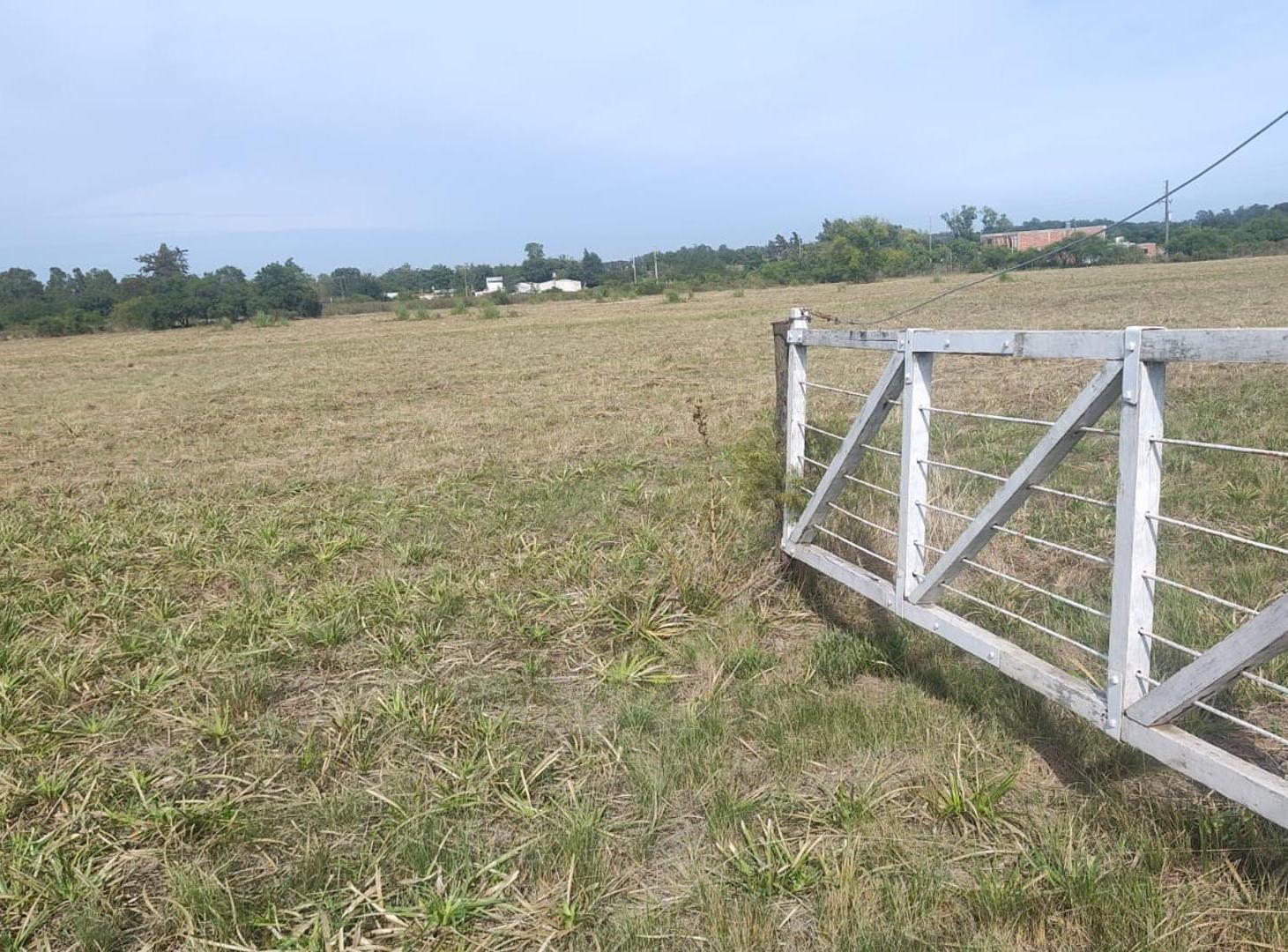 Foto de Lotes en venta en Florencio Varela, imagen 5