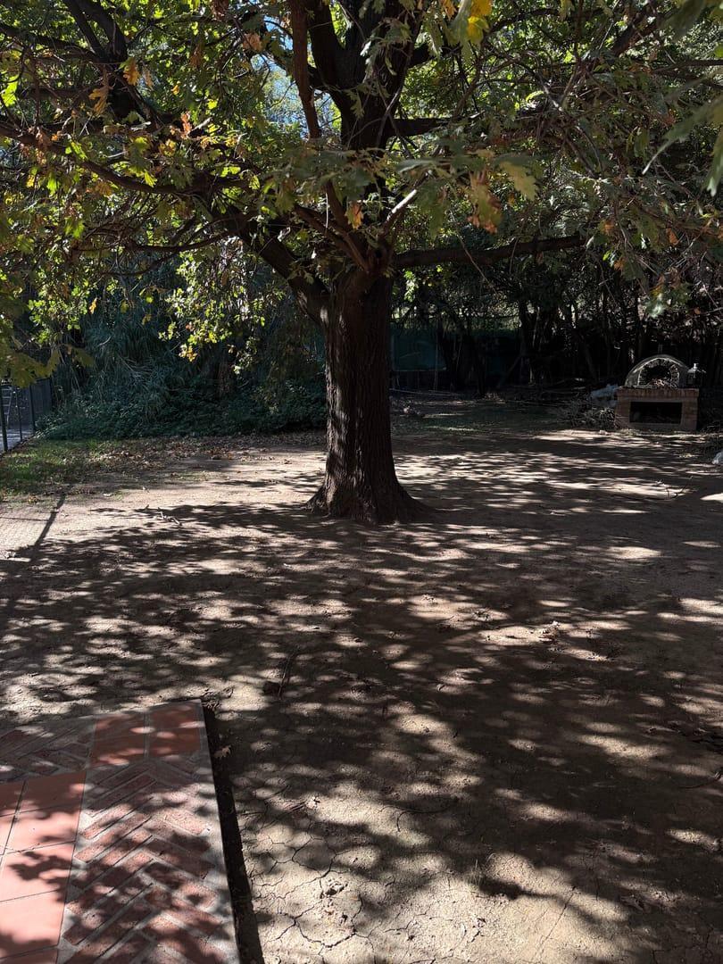 Foto de Casa en alquiler para oficinas o uso profesional en Argüello- ubicación estratégica en zona norte, imagen 5