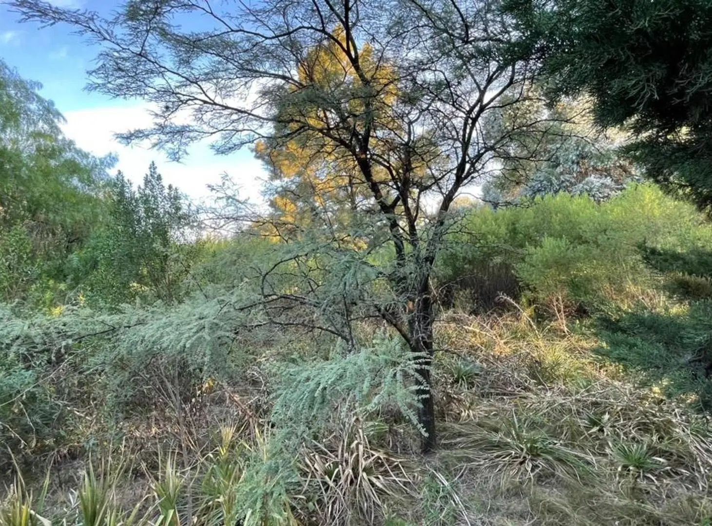 TERRENO EN VENTA BARRIO AMANCAY PILAR 3