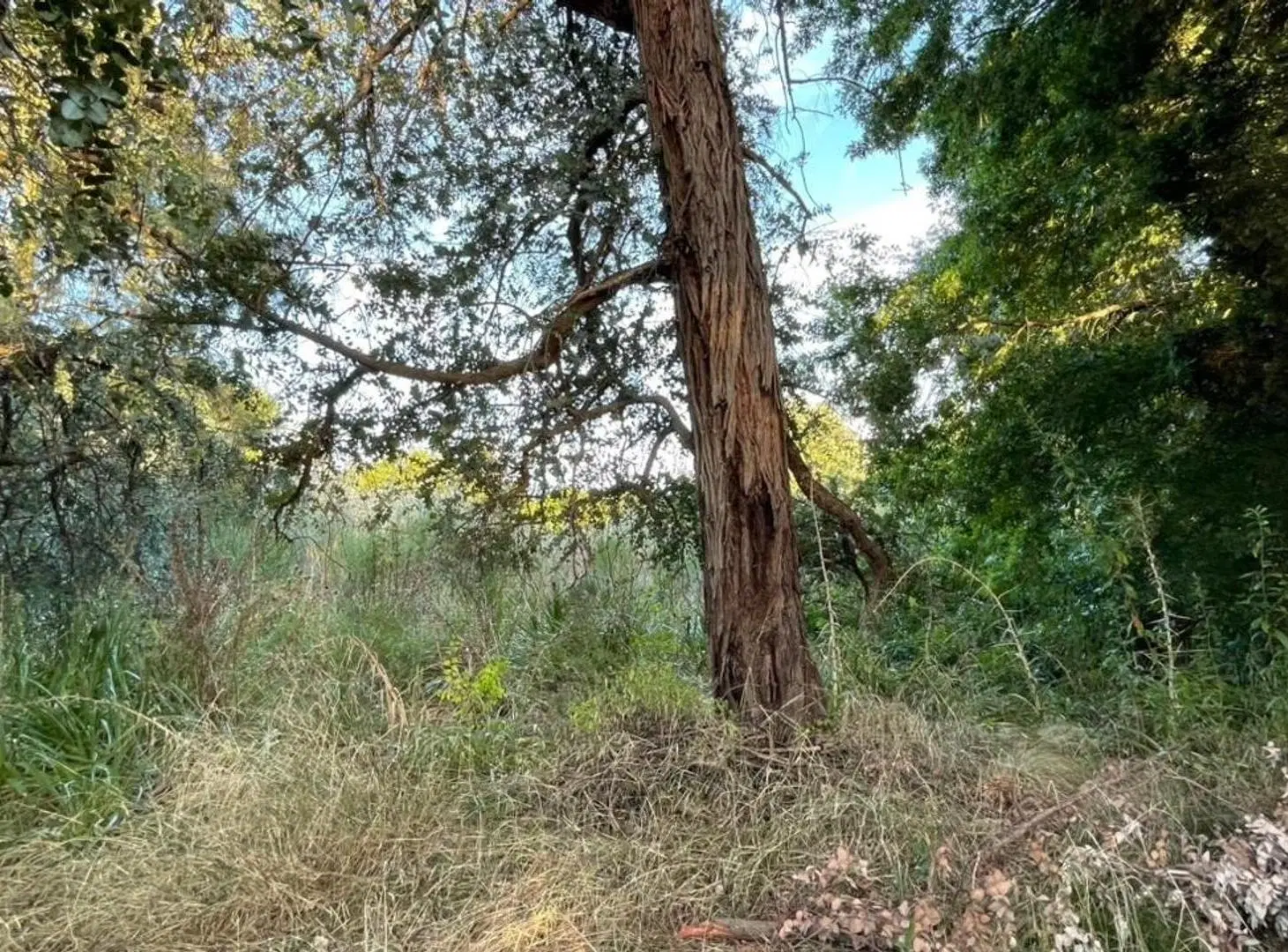 TERRENO EN VENTA BARRIO AMANCAY PILAR 5